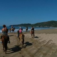 Horseback Riding