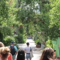 Historical & Heritage Tours