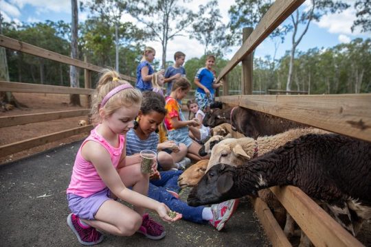Good Friday in Moreton Bay Region