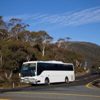 Bus Services