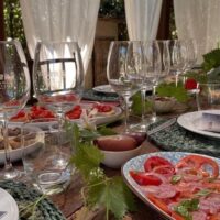 Wine Tasting & Winery Tours