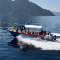Port Transfers
