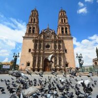 Bus & Minivan Tours