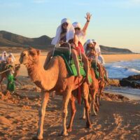 Hop-on Hop-off Tours
