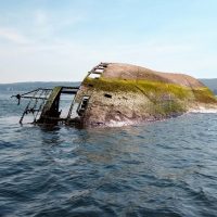 Boat Tours