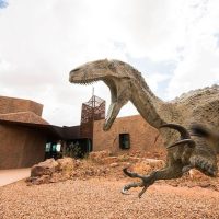 Archaeology Tours