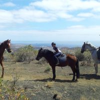 Horseback Riding