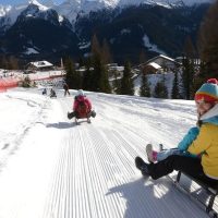 Private & Custom Tours