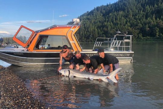 New Year’s Day long weekend in Fraser Valley