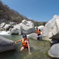 Shore Excursions