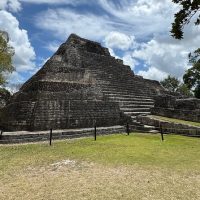 Luxury Tours