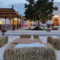 Wine Tasting & Winery Tours