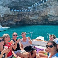Day Cruises