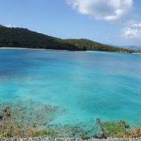 Shore Excursions