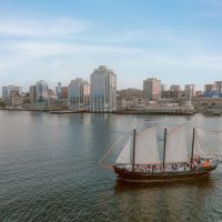 Boat Tours