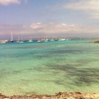Sailing Trips