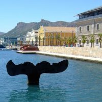 Walking & Biking Tours