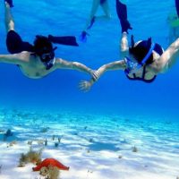Water Transfers