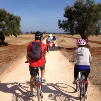 Cultural & Theme Tours