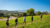 Slice of the camino - charming countryside and forest trails