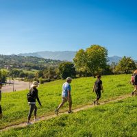 Hiking & Camping
