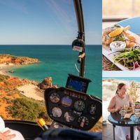 Private & Custom Tours