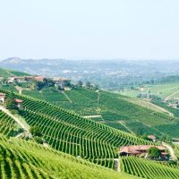 Wine Tasting & Winery Tours
