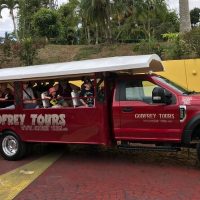 Cultural & Theme Tours