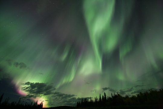 Halloween in Whitehorse