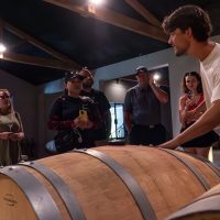 Wine Tasting & Winery Tours