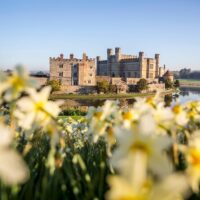 Full-day Tours