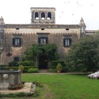 Tours & Sightseeing