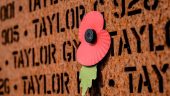 A great tribute to the brave