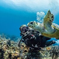 Scuba Diving