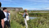 Guérande salt lands