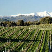 Day Trips & Excursions