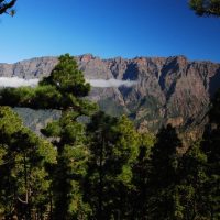 Private & Custom Tours