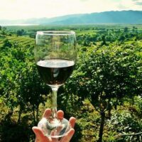 Holiday & Seasonal Tours