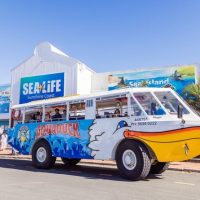 Cultural & Theme Tours