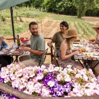 Walking & Biking Tours