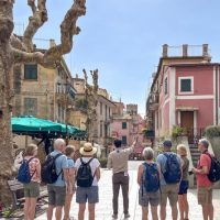 Wine Tasting & Winery Tours