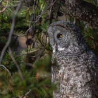 Photography Tours