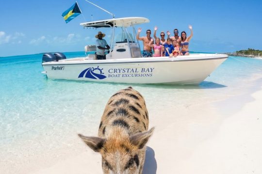 Hanukkah in Great Exuma