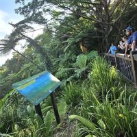 Private Sightseeing Tours
