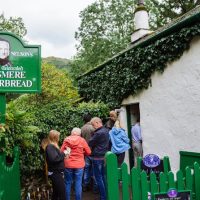 Tours & Sightseeing