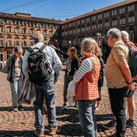 Luxury Tours