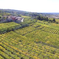 Wine Tasting & Winery Tours
