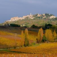Bus & Minivan Tours