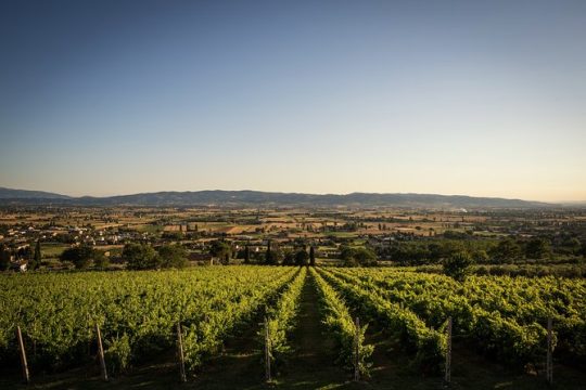 Hanukkah in Umbria
