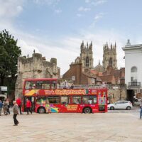 Bus & Minivan Tours